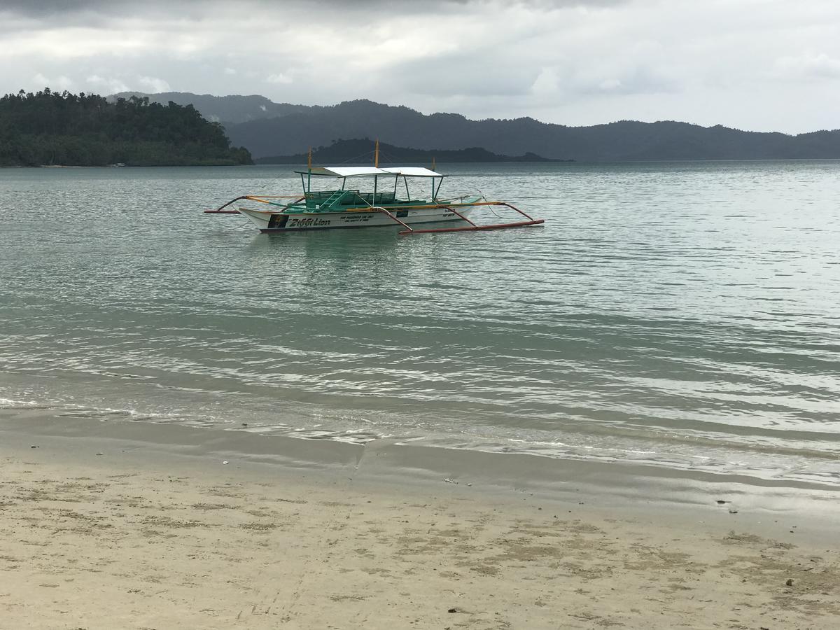 Theresa'S Pension House 圣维森特 外观 照片