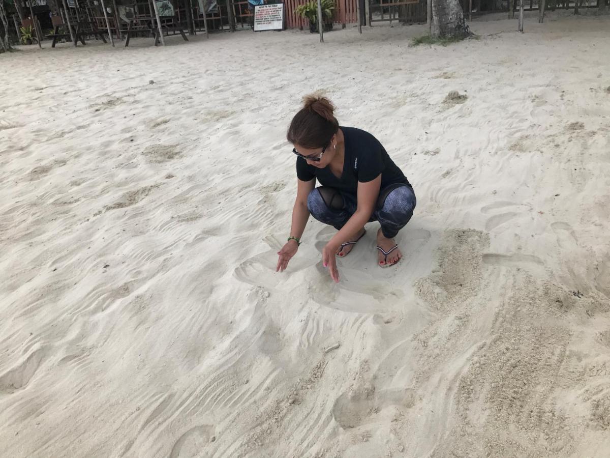 Theresa'S Pension House 圣维森特 外观 照片